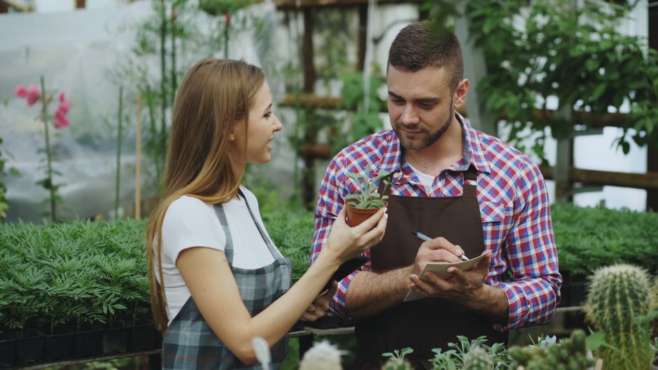 A young woman with long, light brown hair, wearing a white t-shirt and a checkered apron, stands in a lush greenhouse surrounded by various plants, including green leafy bushes and spiny cacti. She is smiling and holding a small pot with a young plant featuring striped green and purple leaves. In front of her, a male gardener, with short dark hair and a beard, dressed in a plaid shirt and dark apron, is taking notes on a small notepad while holding a pen. The greenhouse environment is bright with natural light, highlighting the vibrant greenery, the textures of wet soil and trimmed foliage, and the orderly layout of garden beds and plant containers, reflecting careful garden maintenance and plant care activities typical of professional landscaping work by Gardeners Bow.