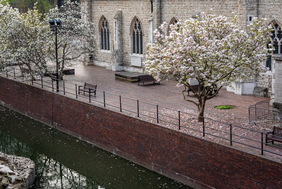 A peaceful garden scene along a brick-lined canal wall featuring a paved courtyard with a stone church building in the background. The garden includes a flowering tree with light pink blossoms and scattered petal fallen on the ground, as well as another blossoming tree on the left. The courtyard has a few wooden benches and a small, circular planter with green foliage. The area is enclosed by black metal railings, and the overall environment appears well-maintained with trimmed grass and clean pathways. The textures of wet soil, bark, flowering petals, and the stone walls of the church contribute to the tranquil, well-kept outdoor space. This scene exemplifies professional garden maintenance and landscaping work carried out by Gardeners Bow, aligned with their service for Bow Locks courtyards and canal yards.